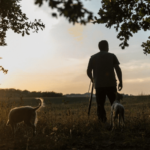 Truffle hunt Tuscany